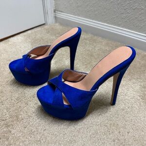 Elegant Blue High Heel Women's Shoes